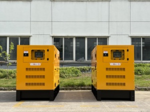 Generador Súper Silencioso de 50KW, Generador Portátil de 50KVA, Conjunto de Generadores de 20kva, 25kva, 20kw, 25kw - Product Image 6