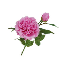 Pivoines artificielles de haute qualité à 2 têtes, toucher réaliste, grande tête en latex, fausse pivoine blanche et rose pour la décoration de mariage et de fête
