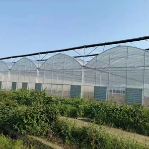 Plastic Film Tunnel Watermelon Greenhouse Fruits Agricultural Hydroponic System Growing GREEN HOUSE