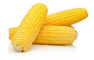 Maíz Amarillo Glutinoso Orgánico Seco Premium a Granel, Grado Alimenticio, Sin OMG, para Procesamiento de Alimentos y Alimentación Animal, Listo para Enviar - Product Image 1