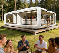 Cabane préfabriquée Apple avec système de maison intelligente, maisonnette modulaire pour villa d'hébergement, vente en gros d'usine