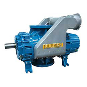 Robuschi RB-DV <b>Vacuum</b> <b>Pump</b> Cast Iron 10500 L Min 100 Mbar A Industrial Use - Product Image 4