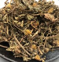 Acmella Paniculata Organik, Batang dan Daun Acmella Paniculata Kering untuk Dijual