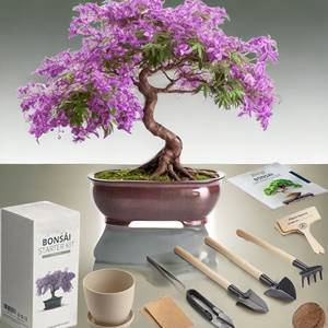 Kit de démarrage d'arbre bonsaï d'intérieur avec outils <span class=keywords><strong>cadeau</strong></span> de <span class=keywords><strong>jardinage</strong></span> domestique en fibre pour femmes et hommes - Product Image 5