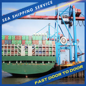 Ali Sea <span class=keywords><strong>Logistics</strong></span> Meilleur prix Cargo vers USA Belgique - Product Image 5