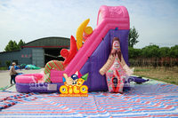 Glissière d'eau commerciale de bonbon de PVC du marbre 16FT personnalisée avec la maison gonflable de rebond de l'eau d'arrière-cour de piscine partie extérieure