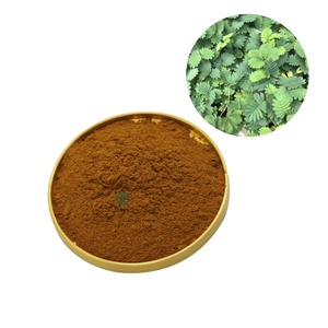 Tự nhiên Mimosa vỏ cây chiết xuất Mimosa chiết xuất bột Nhà cung cấp tốt nhất nước hòa tan Mimosa gốc vỏ cây chiết xuất bột - Product Image 3