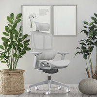 Chaise de bureau ergonomique en maille respirante avec réglage en hauteur, dossier inclinable et soutien lombaire pour une utilisation quotidienne au bureau