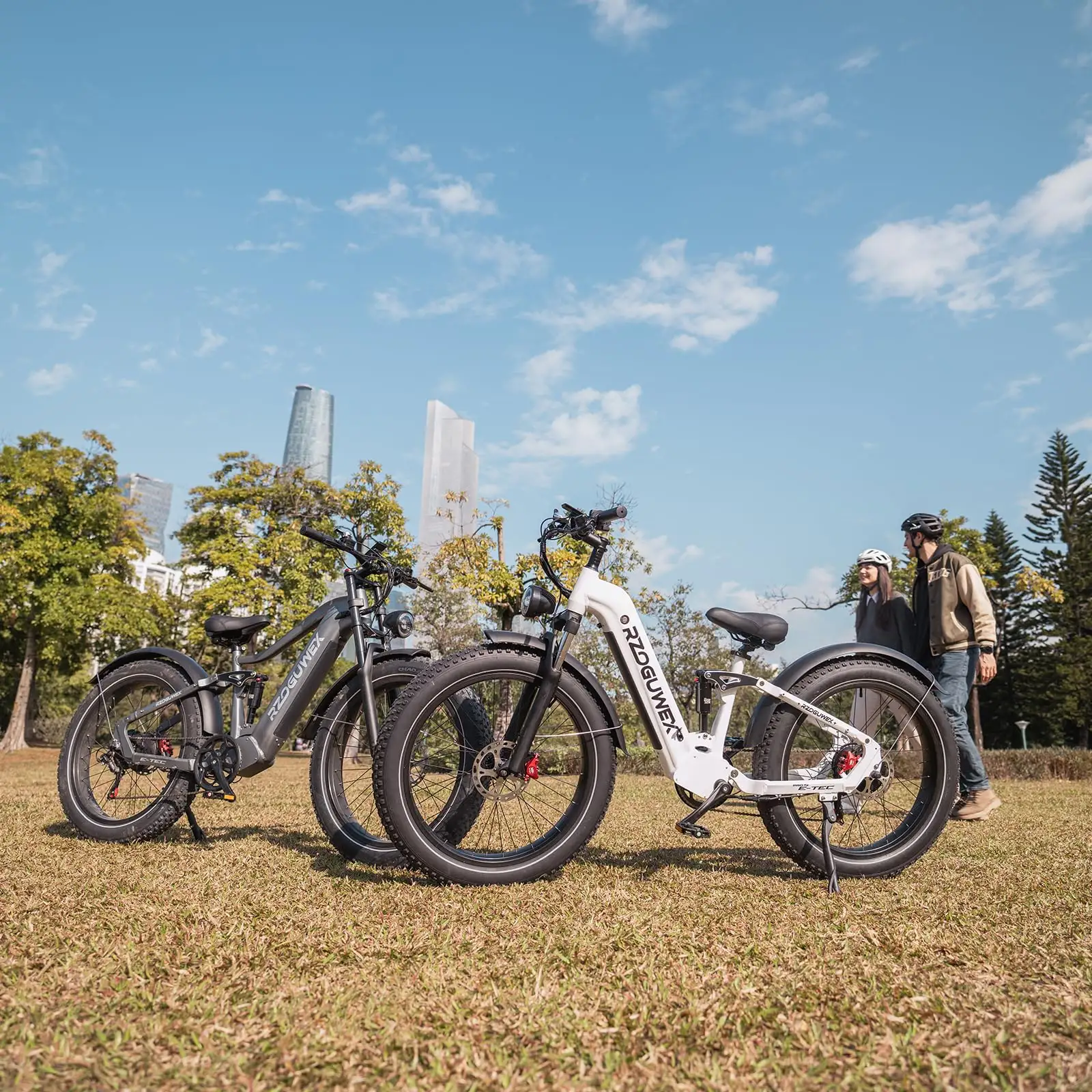 Bicicleta de carga de neumáticos gruesos de larga distancia respetuosa con el medio ambiente de lujo 2024 bicicleta eléctrica alemana 1000W ventas de bicicletas eléctricas