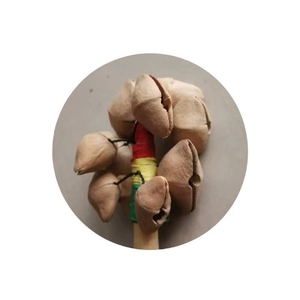 Wholesale Hand‑made Wooden Handle Fruit Shell Shaker Rattle Stick Percussion Shaker For Early Education - Product Image 2
