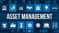 Software Personalizado de Gestión de Activos de Marca, Análisis Financiero Empresarial, Seguimiento de Inventario, Estado de Stock MAC, Versión Internet, Otros