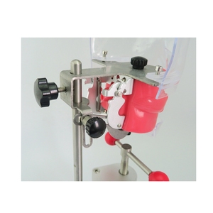 Tête de mannequin dentaire avec masque facial pour la pratique et l'apprentissage - Product Image 5