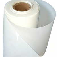 Lámina de Película PET Mylar para Transformadores, Precio de Fábrica, 6020 Transparente, Película de Aislamiento para Motores, 6021 Blanco Lechoso, Película de Poliéster PET