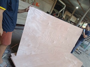 Madera contrachapada de madera dura de grado comercial duradera a buen precio para proyectos de construcción y muebles de alta calidad - Product Image 5