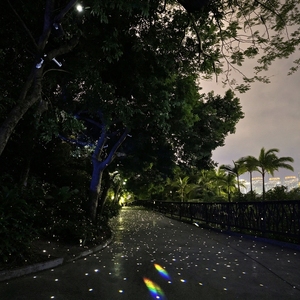 Proyector de Efecto Láser Luciérnaga para Iluminación de Paisajes Exteriores y Exhibiciones Decorativas de Jardín - Product Image 3
