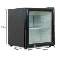 Réfrigérateur à vin de 52 L, refroidisseur de boissons pour terrasse, mini-réfrigérateur pour dropshipping