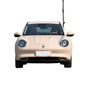 Bestseller Ora Good Cat GT Road Verwenden Sie elektrische Auto Drive Range Schnell ladung Adult Car E SUV 500 km LED-Kamera Stoff Fahrzeug CVT