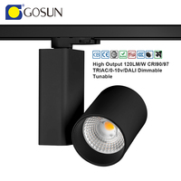 Projecteur sur rail 20W à haut rendement 120LM/W CRI90, corps en aluminium COB moderne, 200-240V, éclairage mural pour musée, garantie 5 ans