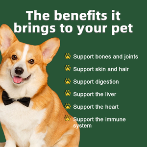 Compléments Alimentaires pour Animaux : Friandises à Mâcher Molles pour les Glandes Anales au <span class=keywords><strong>Citrouille</strong></span> pour Chiens – Enzymes Digestives, Probiotiques et Fibres pour Chiens – Complément Boot Scoot - Product Image 5