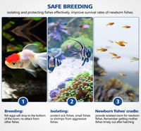 Boîte de séparation pour poissons en acrylique, boîte d'élevage, boîte d'isolement, incubateur d'aquarium avec support pour les jeunes poissons et les crevettes