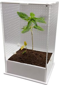 Petit Terrarium Araignée 4.7 \ "X 3.9 \" X 7.8 \ "pour Araignées Sauteuses Mante Priante Autres Invertébrés Présentoir pour Arboréal - Product Image 6