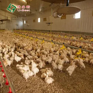 Factory Dircect Sale Animal House Equipment Poultry Farm Accessories For Smart Chicken Farm