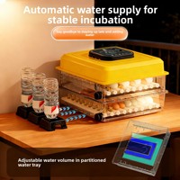 [Nueva Llegada] Incubadora de Huevos China, Máquina Compacta para Incubar Huevos de Uso Doméstico, Sin Control de Humedad, para Pollos, Patos y Gansos