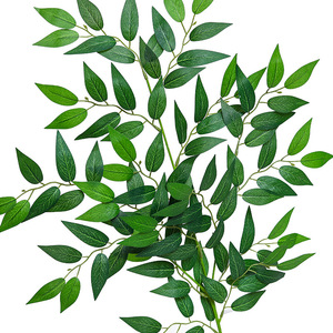 Vente chaude Artificielle Eucalyptus Haricot Fleur Ficus Arbre Feuille Plante Verte Ornement Forêt Style Unique Printemps Branche De Noël - Product Image 3