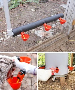 YYC Chất Lượng Cao Gia Cầm Uống Hệ Thống Tự Động Gia Cầm Tưới Nước Ly Người Uống Gà Tưới Nước - Product Image 6