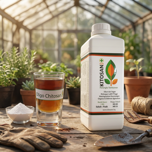 Kitosan Engrais Biologique Liquide Écologique 85% Pureté Stimulateur de Croissance des Plantes Oligosaccharides Acides Organiques pour Cultures - Product Image 2