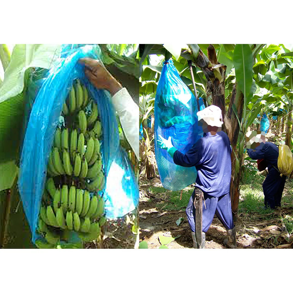 環境保護フルーツカバーバッグPP不織布バナナ保護バッグを提供