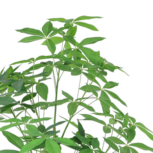 Venta caliente Planta artificial dinero árbol Zamioculcas zamiifolia Pachira <span class=keywords><strong>aquatica</strong></span> para decoración interior al aire libre - Product Image 3