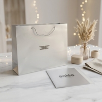 Sacs en papier argenté de luxe avec logo personnalisé, ruban et pelliculage pour parfums masculins, diffuseurs de parfum et sacs cadeaux pour événements
