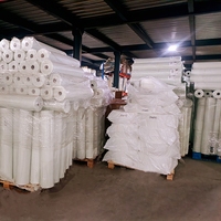 100g Gulungan Jaring Fiberglass untuk Jaring Plester
