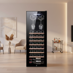 Frigorifero Termoelettrico Moderno in Acciaio Inox per Birra e Vino, 138L, 48 Bottiglie, per Supermercati Commerciali - Product Image 3