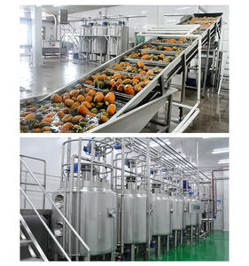 Nouveau mélangeur UHT tubulaire Sterli de fruits PulpcLine équipement d'emballage de remplissage (capacité 4000BPH) - Product Image 5