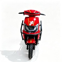 Vélo électrique de livraison en gros avec grand coffre de chargement, capacité de 200 kg, GPS, moteur brushless 500W, batterie plomb-acide 48V, pour usage urbain