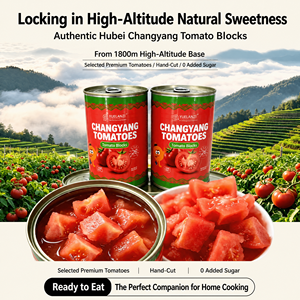 24 - <span class=keywords><strong>Pomodori</strong></span> a cubetti in salsa in scatola a lunga conservazione 400g, sottovuoto, sterilizzati, conservabili a temperatura ambiente, all'ingrosso - Product Image 3