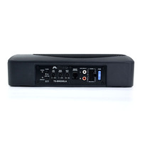 Subwoofer actif pour voiture Pioneer Ts-Bw200la 8 pouces, 700 W de puissance maximale, alliage d'aluminium