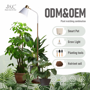 Лампа для растений J&C Full Spectrum Grow Light с цоколем <span class=keywords><strong>E26</strong></span>/E27, 15 Вт (эквивалент 150 Вт) для выращивания комнатных растений и рассады. - Product Image 1