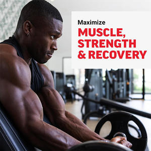 Wholesale 5000mg <b>Creatine</b> Monohydrate Gummies - Pre Workout Supplement for Muscle Growth Endurance & Recovery for Men and Women - Product Image 3