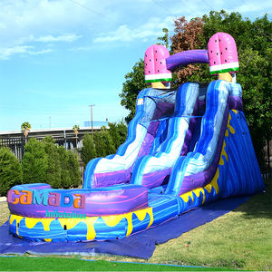 Nouvelle conception de toboggan aquatique gonflable à double voie en PVC avec pulvérisation d'eau, en vente - Product Image 6