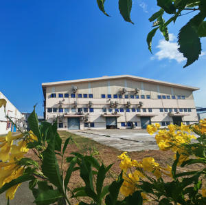 Customized Woven <b>Elastic</b> Band Made of Nylon and Spandex Striped <b>Belt</b> for Underwear Pants Home Textiles Anti-Slip Waistband - Product Image 5