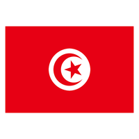 Drapeau de la Tunisie personnalisé avec logo, 100 % polyester, 3x5 pieds, séchage rapide, écologique, imprimé en sérigraphie