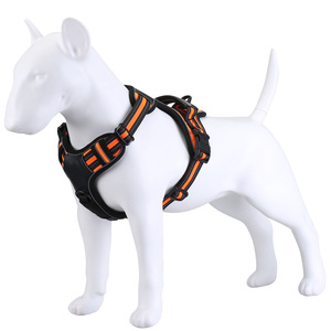 Shenzhen-based manufacturer custom-made reflective, comfortable, breathable, adjustable, and shockproof chest and <b>back</b> <b>braces</b> - Product Image 4