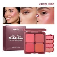Prix d'usine Fard à joues cosmétique portable Maquillage pour les joues Marque privée Poudre de blush mat Palette de blush 4 couleurs Effet flou