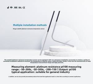 CWDZ02 プラチナ抵抗温度計 高精度温度センサー 液体・ガス・固体温度伝送器 OEM ODM IP68 - Product Image 3