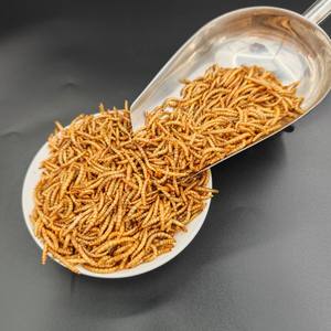 Aditivo Alimentar de Alta Qualidade 100% Natural para Frango e Peixe, Sem Aditivos, Larvas Secas - Product Image 2