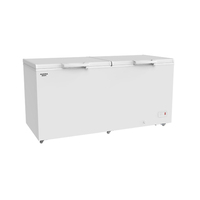 Rebirth Congélateur Armoire à Glace Réfrigérateur Horizontal Commercial Réfrigérateur Congélateur Coffre Supérieur avec Grande Capacité
