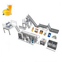 China Professionele China Fabrikant Commerciële Mango Juicer Productielijn Automatische Mango Sap Verwerking Machine
